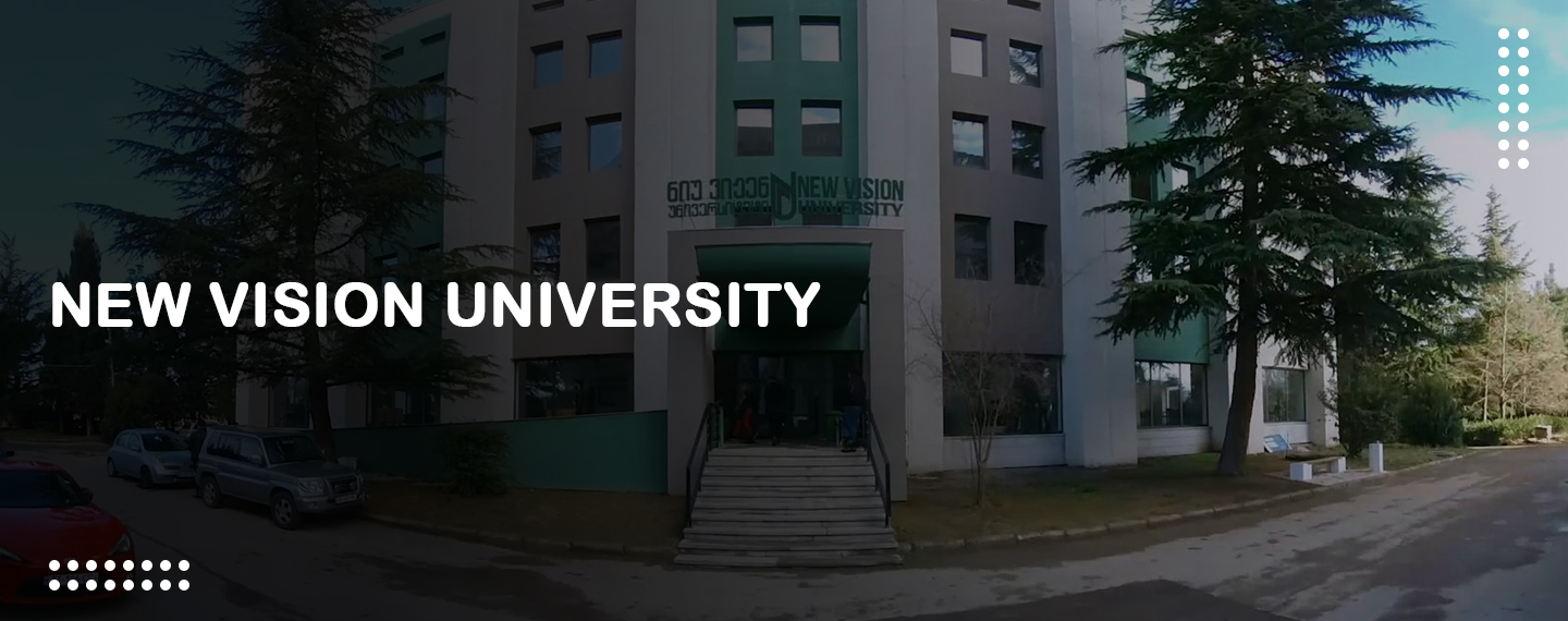 new-vision-university